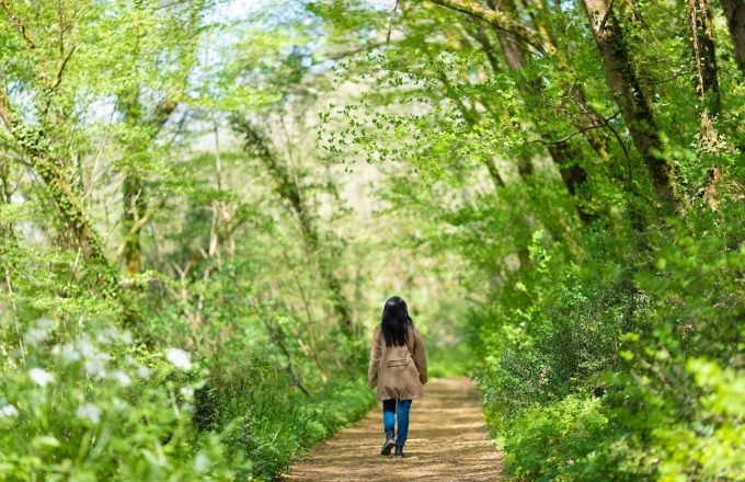 Social Prescribing &#8211; Effective Mechanisms for Social Prescribing