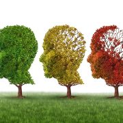 Research reveals key factors to support quality of life in dementia