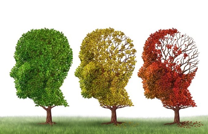 Research reveals key factors to support quality of life in dementia