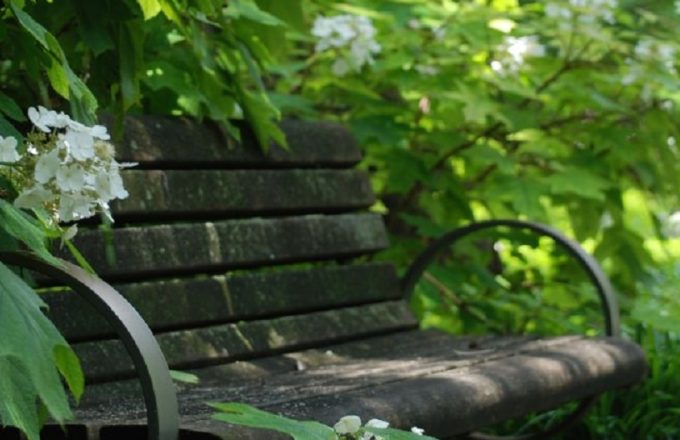 Social Prescribing &#8211; Cornwall and Plymouth Researcher in Residence