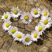 What is the recipe for a successful relationship and how should we teach school children?