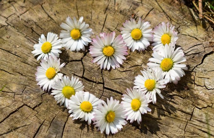 What is the recipe for a successful relationship and how should we teach school children?