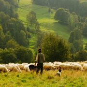 Farmer