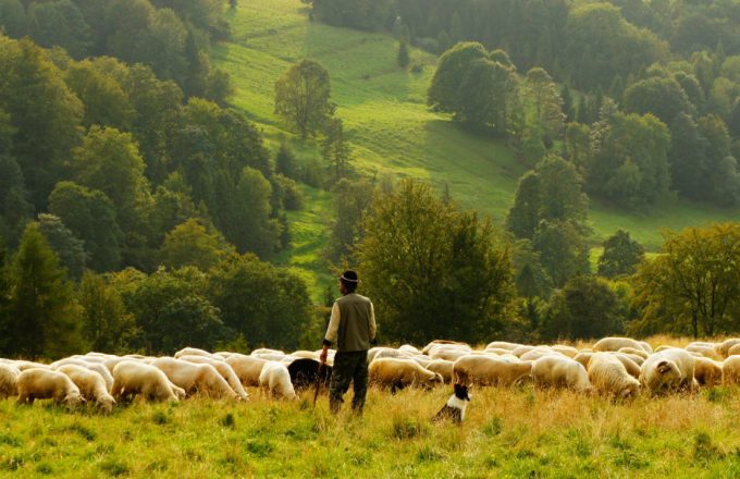 Farmer