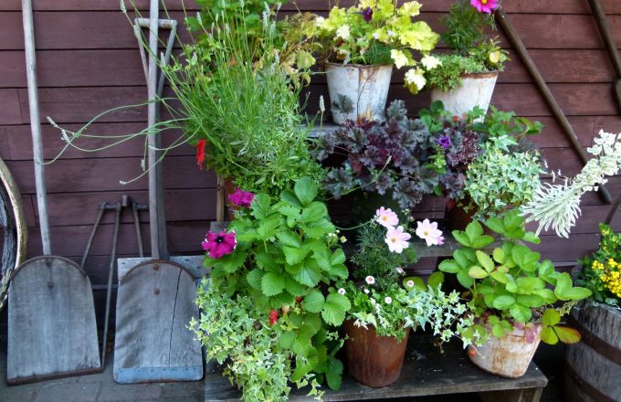 A systematic review of the health and well-being impacts of school gardening: synthesis of quantitative and qualitative evidence