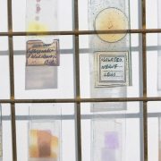 Academic Promotions for researchers leading the way on nationally significant issues