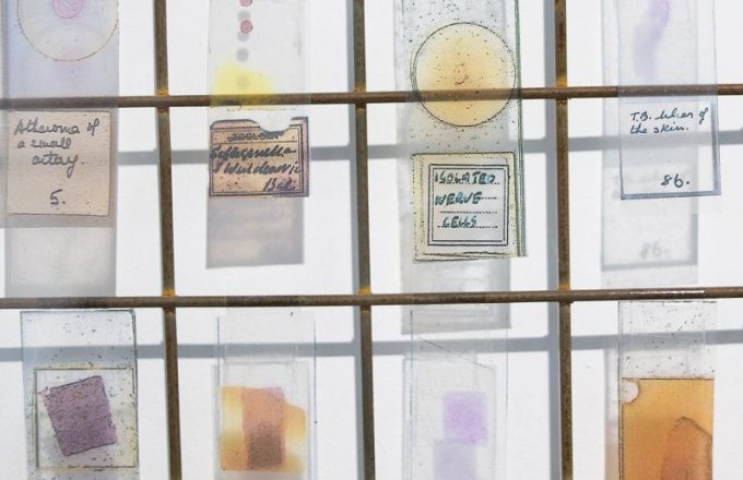 Academic Promotions for researchers leading the way on nationally significant issues
