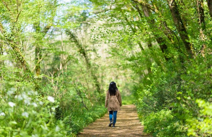 New handbook to help prescribe nature for mental health and wellbeing