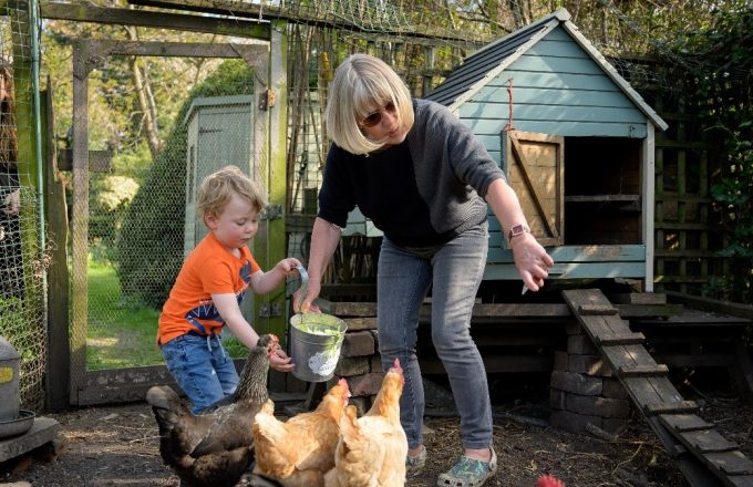 An older person feeds poultry in a yard helped by a toddler