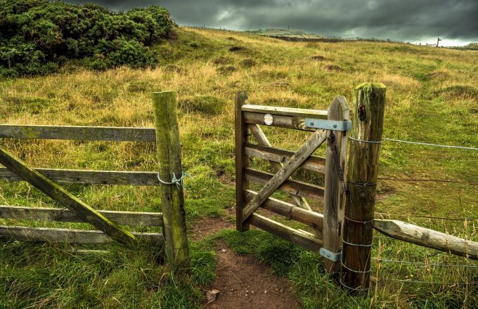 Green Social Prescribing rollout  &#8211; all push and no pull? An opinion piece