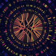 Genome data. Genetics sequence barcode visualisation, dna test and genetic medical sequencing map. Genomics genealogy sequencing data, chromosome architecture vector concept illustration