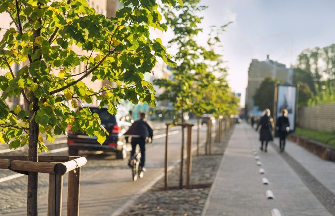 A city street with young trees and a cyclist on the road in summer