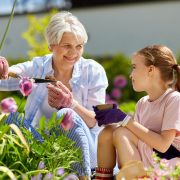 Older woman and young girl planting flowers together in a garden