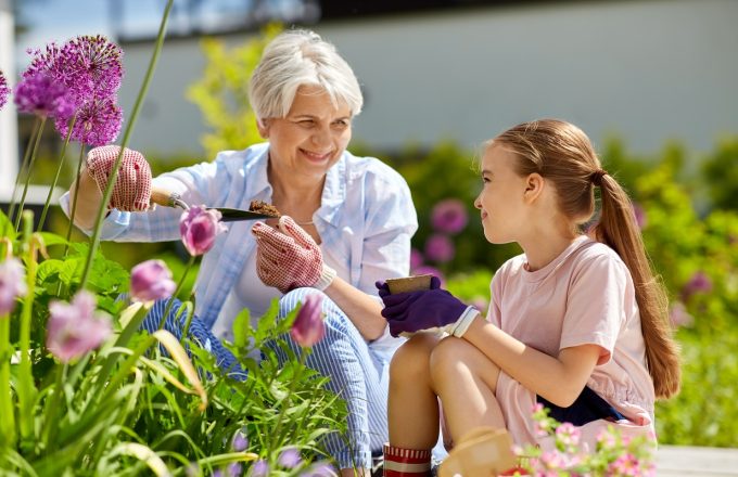 Older woman and young girl planting flowers together in a garden