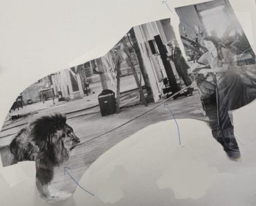 Gallery 2