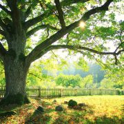Sharing and learning together: a blog