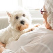 Therapy pet on couch next to elderly person in retirement rest home