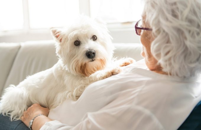 Therapy pet on couch next to elderly person in retirement rest home