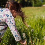 girl picking dandelions