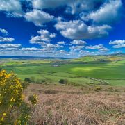 View of Peak Hill in South West Devon, blue sky, white fluffy clouds, gorse in flower in foreground