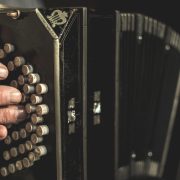 Closeup of accordion in the process of playing