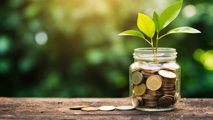 plant growing out of coins in glass jar