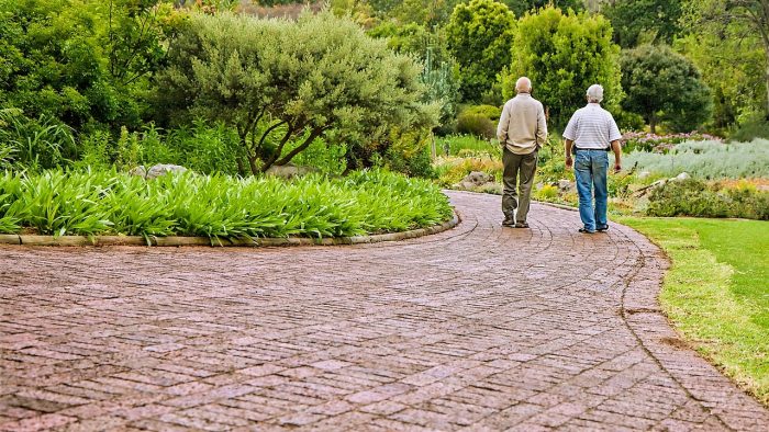 Comprehensive geriatric assessment (CGA) to sustain independence for older people living with heart failure with preserved ejection fracture (HFpEF) and frailty: The CHART Trial
