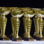 Recognition for researcher awarded prestigious prize for leadership in ageing research