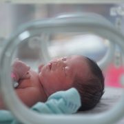 A premature baby sleeps in an incubator in hospital