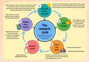 Diagram for young people outlining the research process and how patient and public involvement can be embedded in it